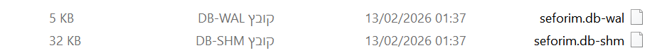 צילום מסך 2026-02-13 013909.png