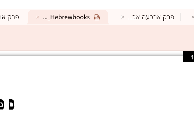 צילום מסך 2026-02-19 152317.png