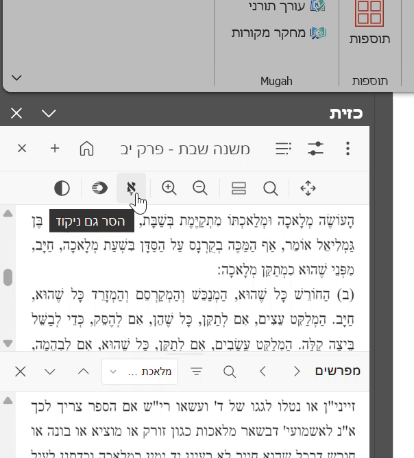 91c74bd5-3ef4-4703-ba6a-32ed468f85b8-הקלטת מסך 2026-03-08 133834.gif
