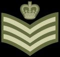 e21bd2df-d355-4ee8-b54c-faabb07a6c31-image.jpeg