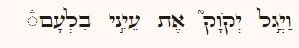 2ed998a6-98f9-403f-bf82-62dcef722bc7-image.jpeg
