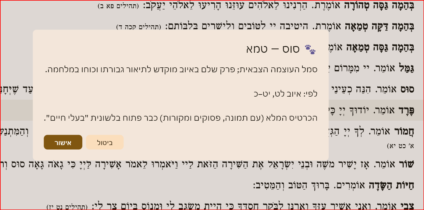 צילום מסך 2026-07-18 222431.png