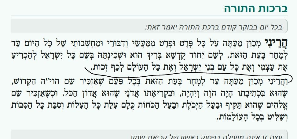 ef8d26c0-ab93-412c-96c1-e95979227383-image.jpeg