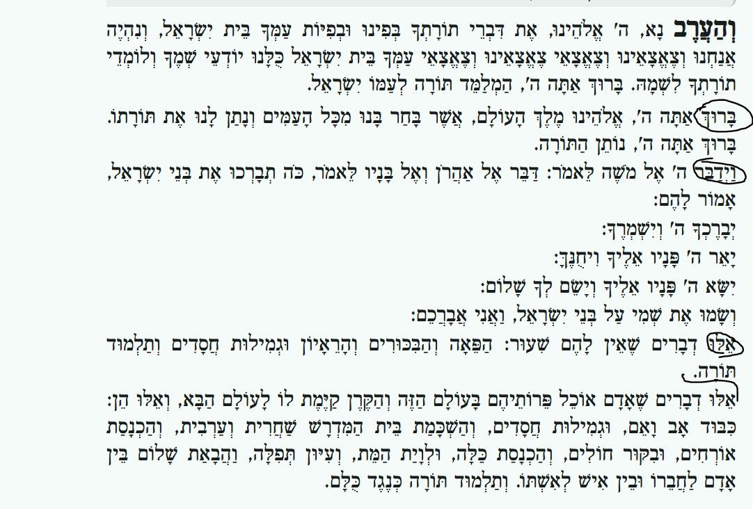 b8740ea1-ce81-4a83-8c86-7d79a3f2c132-image.jpeg