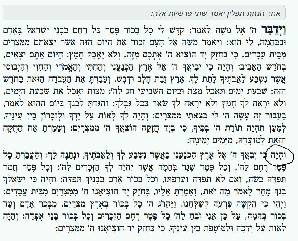 a7dd082b-b1fe-44c8-b96e-eccf910f79c5-image.jpeg