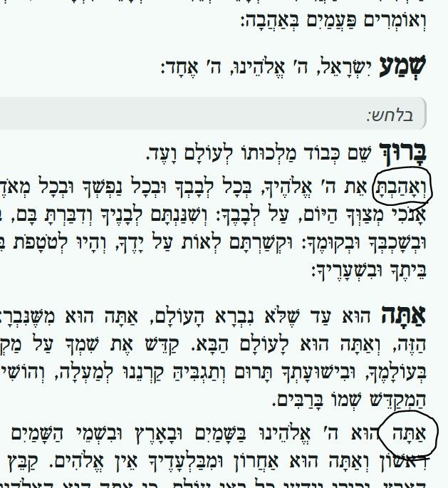 e0807496-ea97-4dae-a45a-157ec3167fac-image.jpeg