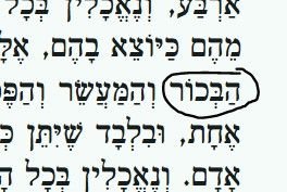 84cc13c4-d610-4de7-b27c-d6e238af3091-image.jpeg