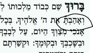 55ad2118-ded9-4e1f-b2d9-39ffeb143f0c-image.jpeg