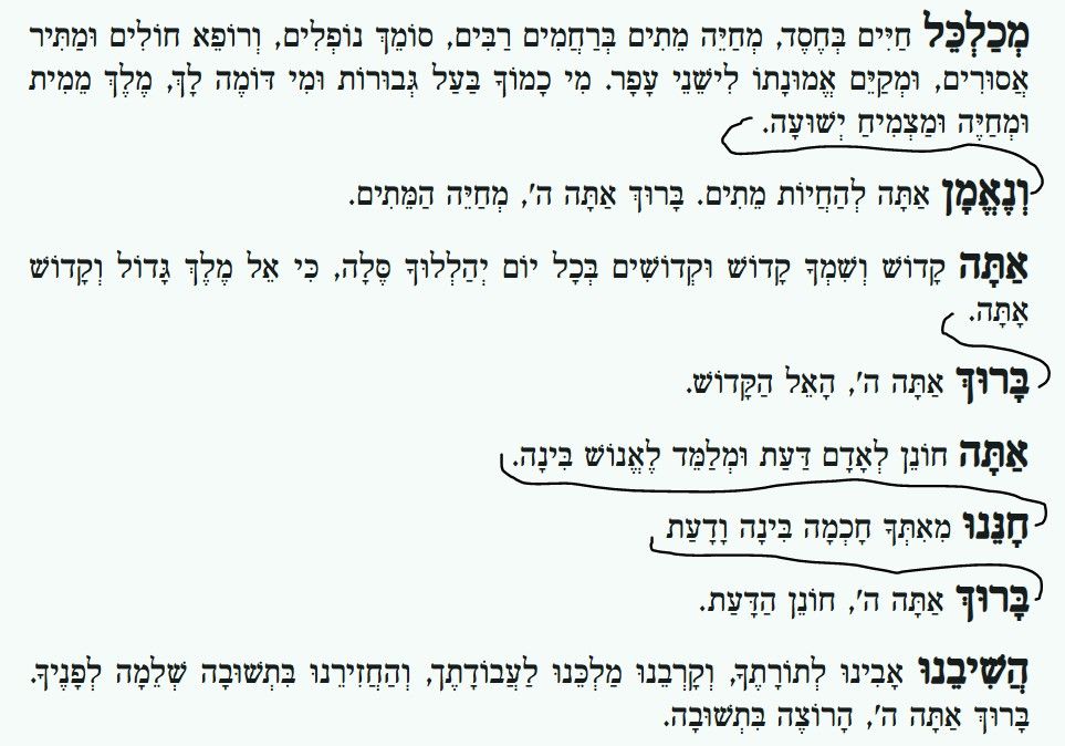 5fb307c5-a082-4299-9cf3-b7bca203e280-image.jpeg