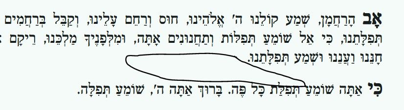 96981d8b-0b84-4985-b43e-0489b0eb288b-image.jpeg