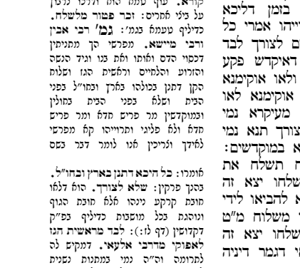 צילום מסך 2026-09-08 235622.png