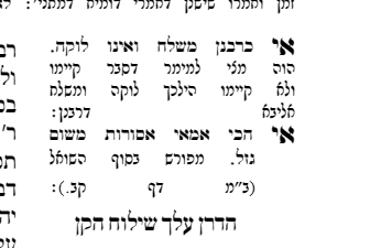 צילום מסך 2026-09-08 235744.png