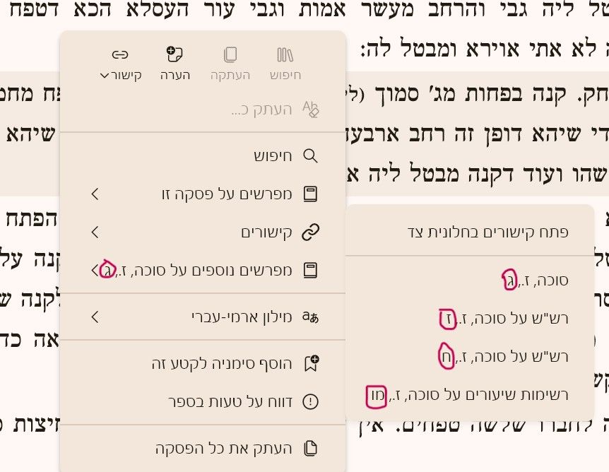 צילום מסך 2026-09-09 214329.jpeg