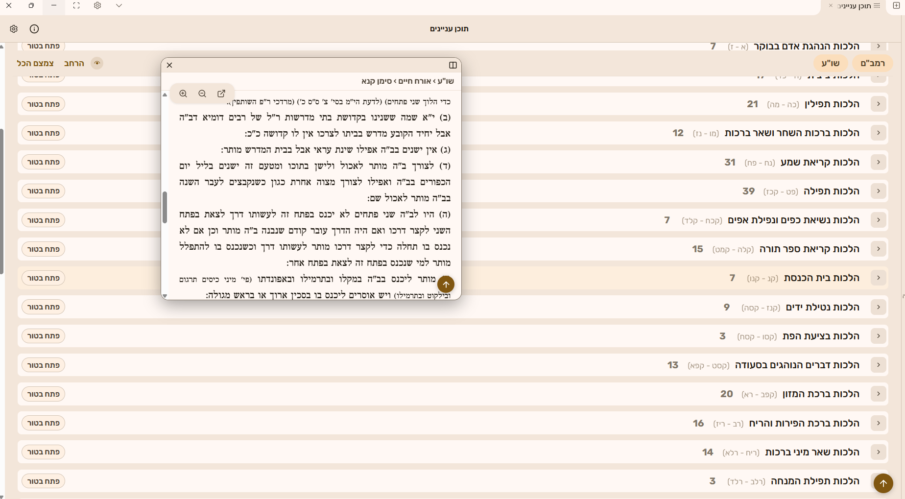 תצוגה מרחפת.png