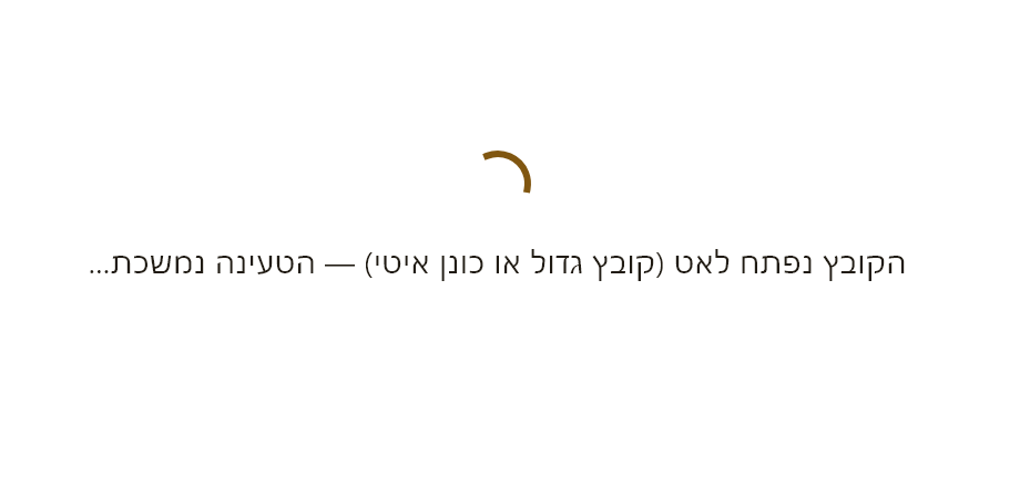 צילום מסך 2026-10-05 223047.png